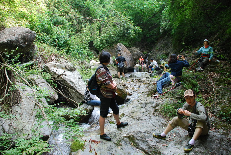 dsc_0977.jpg
