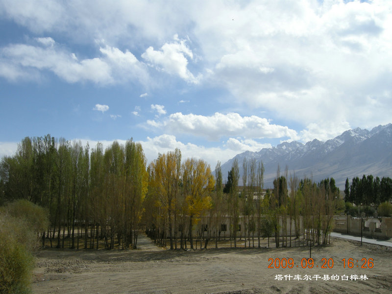 dscn4186.jpg