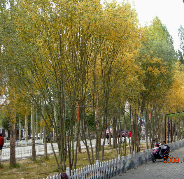 dscn4201.jpg