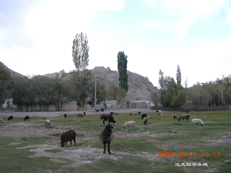 dscn4216.jpg