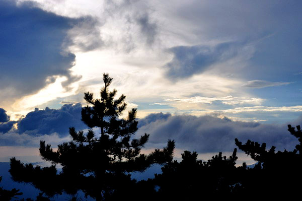 dsc_0260ƺ4ѹ.jpg