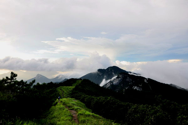 dsc_0290ƺ22ѹ.jpg