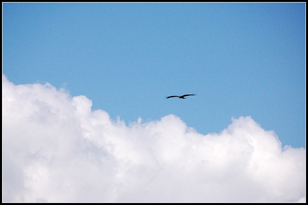 dsc_9216.jpg