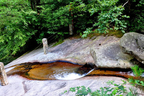dsc_0232.jpg
