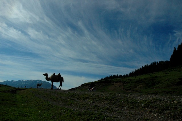 dsc_3865q.jpg