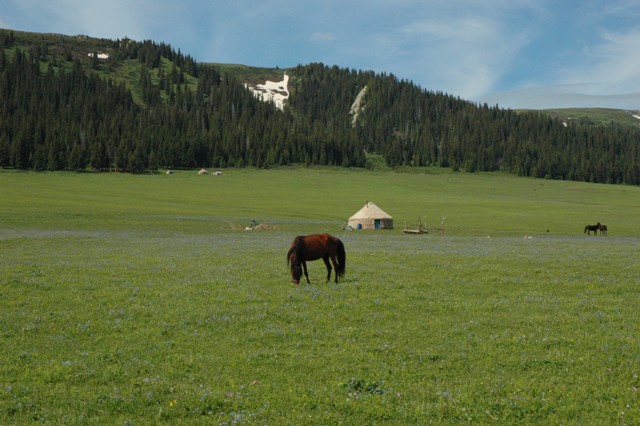 dsc_3948q.jpg