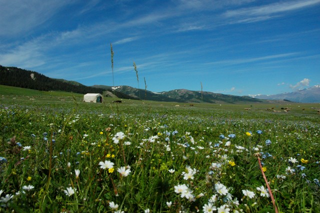 dsc_3954q.jpg