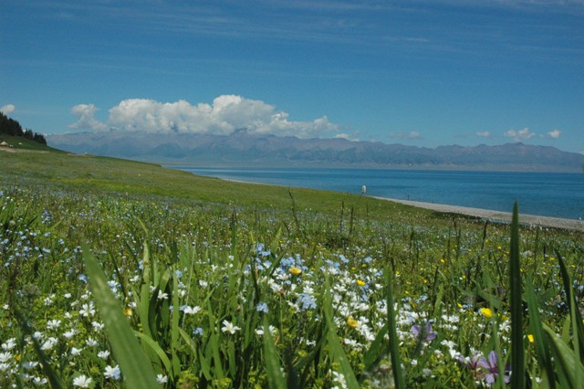 dsc_3985q.jpg