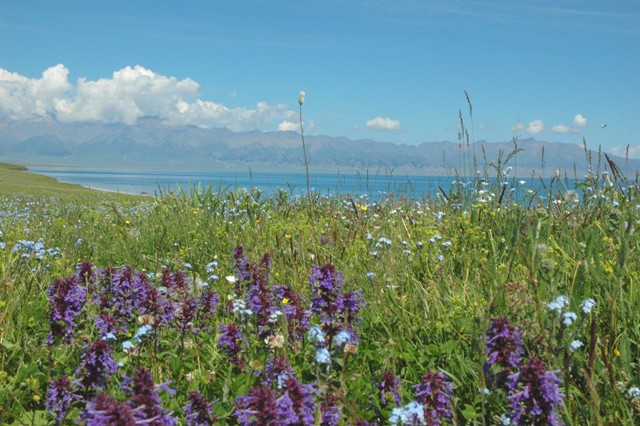 dsc_3991q.jpg