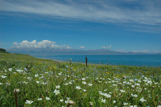 dsc_3992q.jpg
