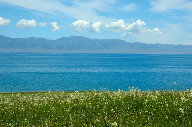 dsc_4008q.jpg