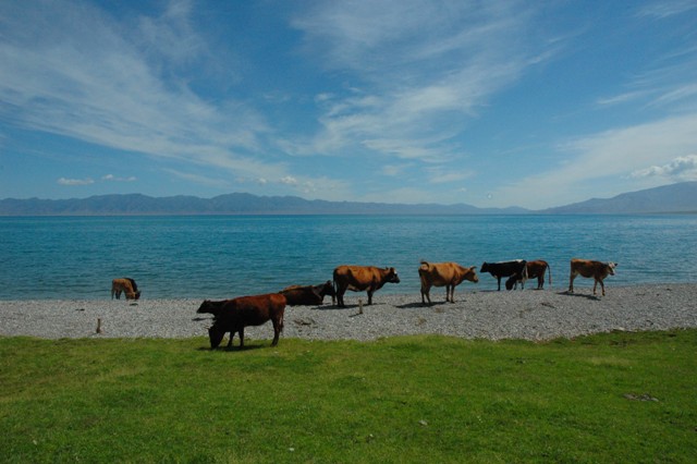 dsc_3997q.jpg