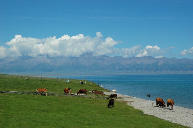 dsc_4006q.jpg