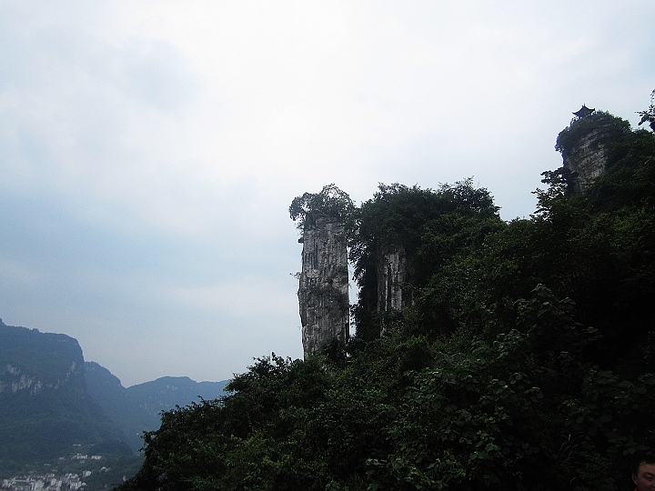 img_1300.jpg