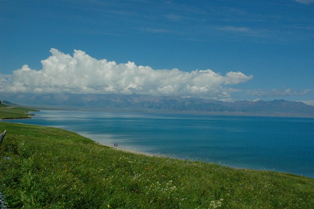 dsc_4060q.jpg