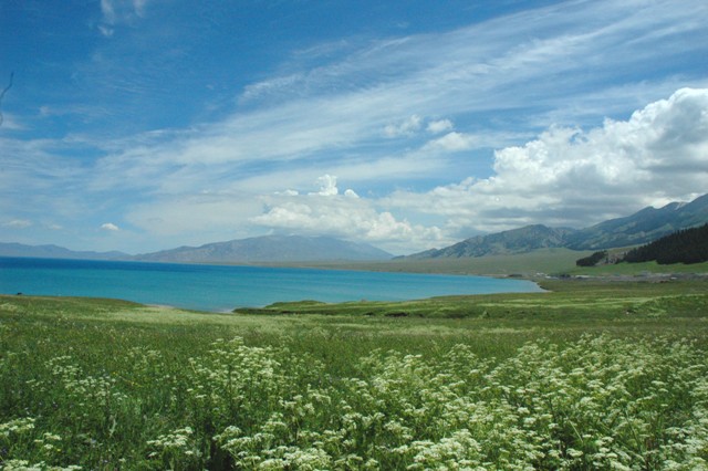 dsc_4072q.jpg