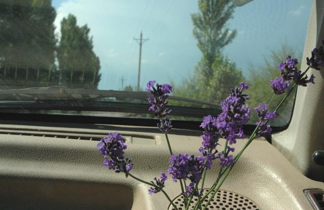 dsc_4153q.jpg