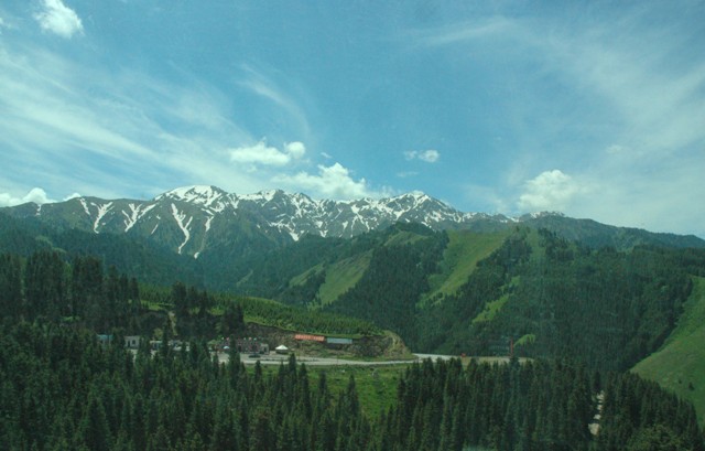 dsc_4085q.jpg
