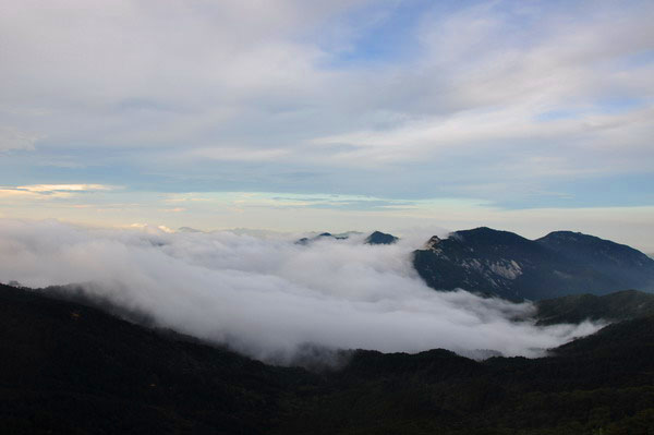 dsc_0322ƺ42ѹ.jpg