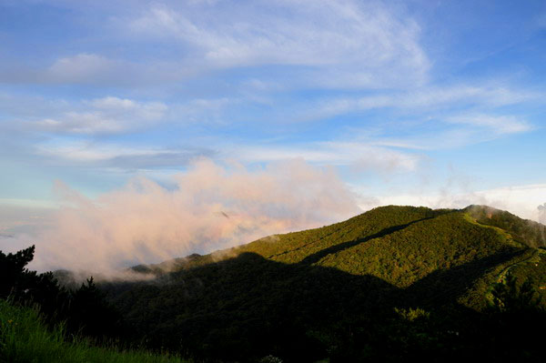 dsc_0347ƺ45ѹ.jpg