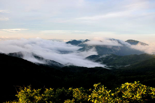 dsc_0341ƺ44ѹ.jpg
