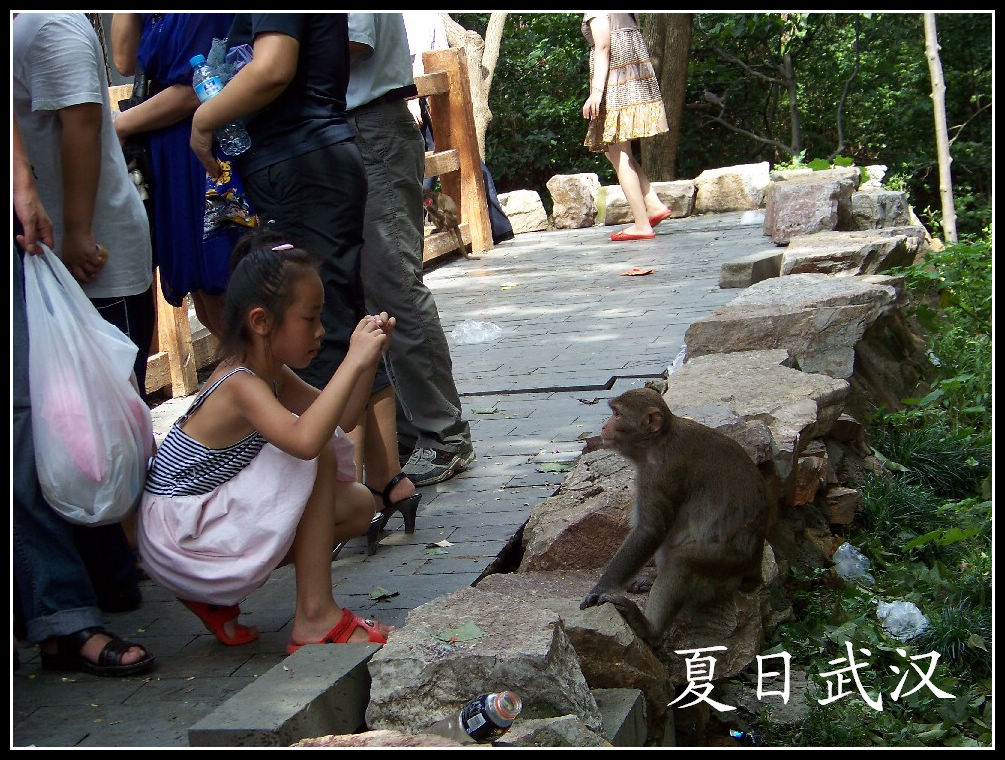20100717hɽɭֹ԰ɽ (60).jpg
