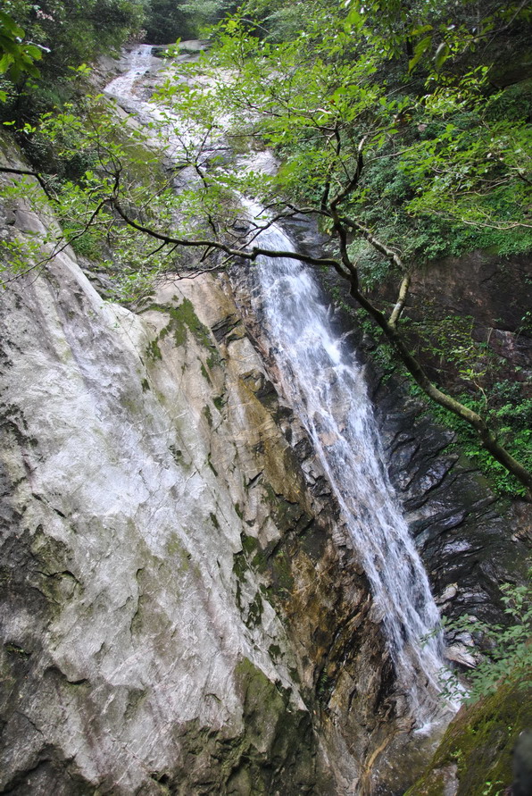 Ƭ 009.jpg