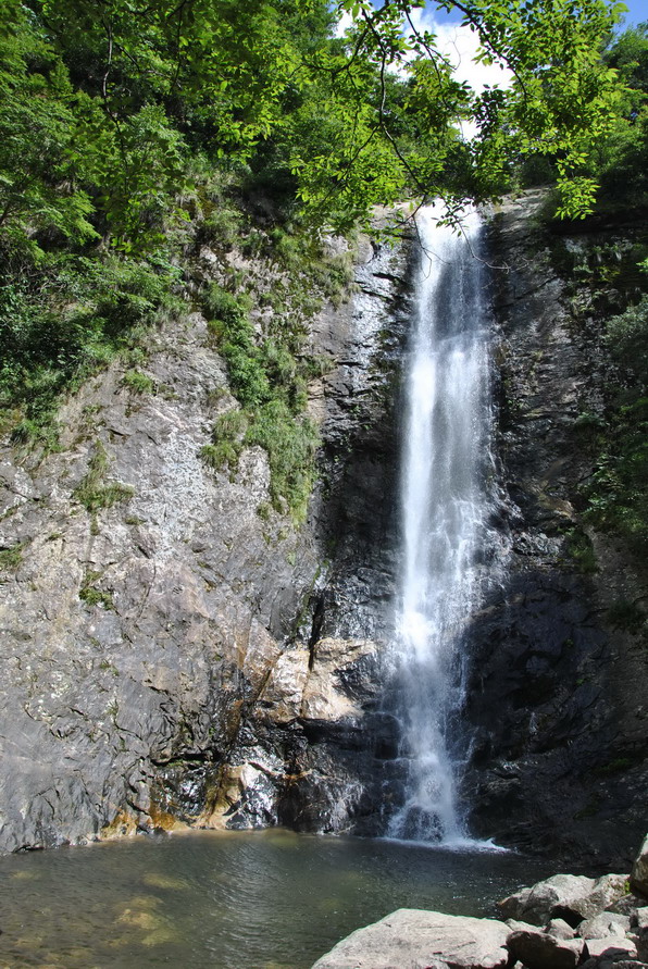 Ƭ 037.jpg