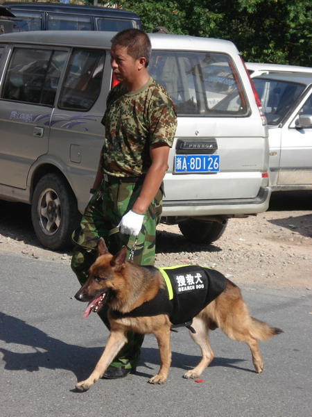 ת dsc05066_СС.jpg
