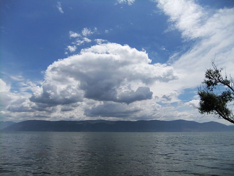 dscf2063.jpg