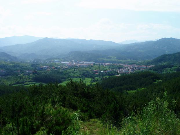 p8070183.jpg