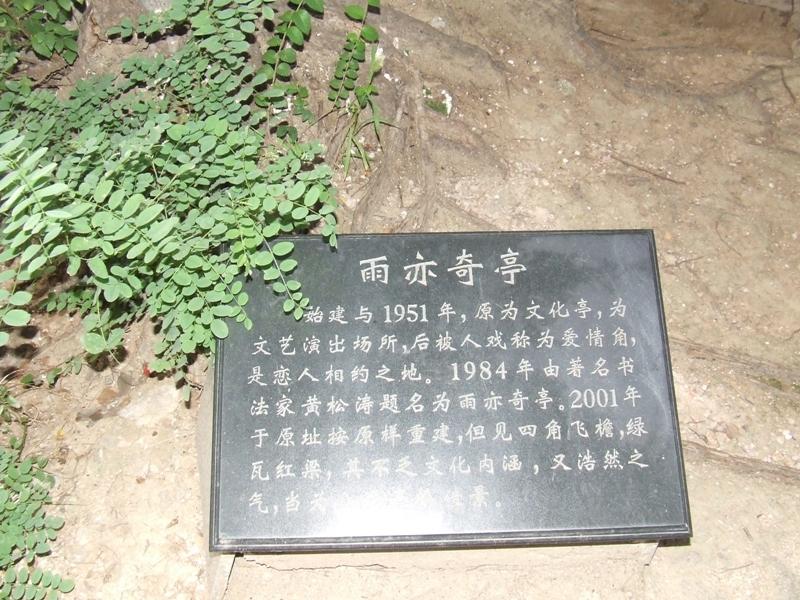 dscf2347.jpg