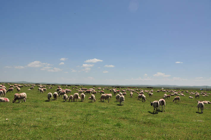 dsc_0156.jpg