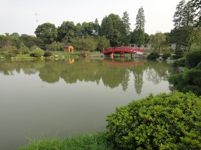 dsc00455.jpg