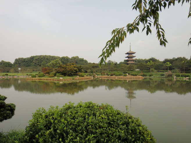 dsc00453.jpg