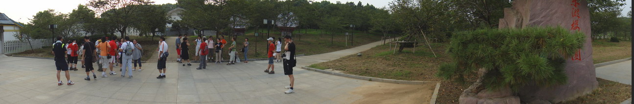 dsc00478.jpg