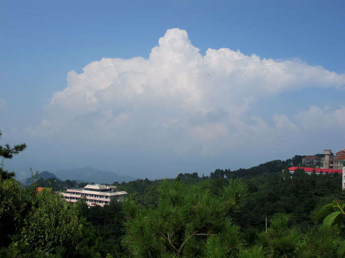 yuen 147.jpg