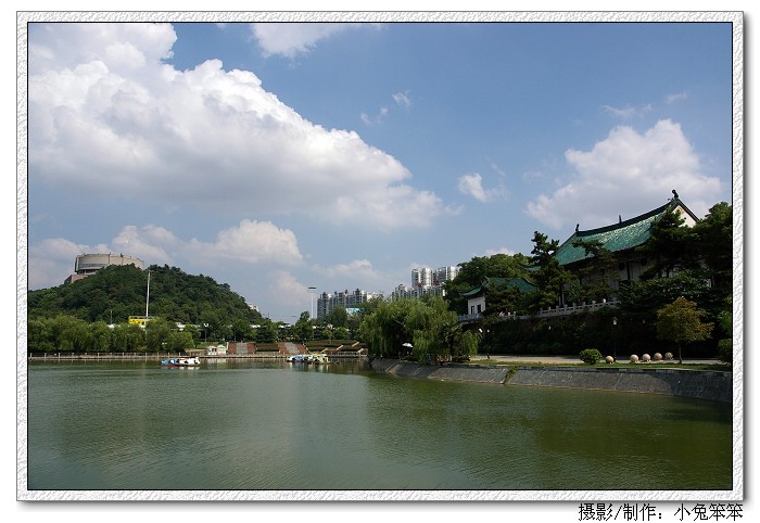 imgp6676.jpg