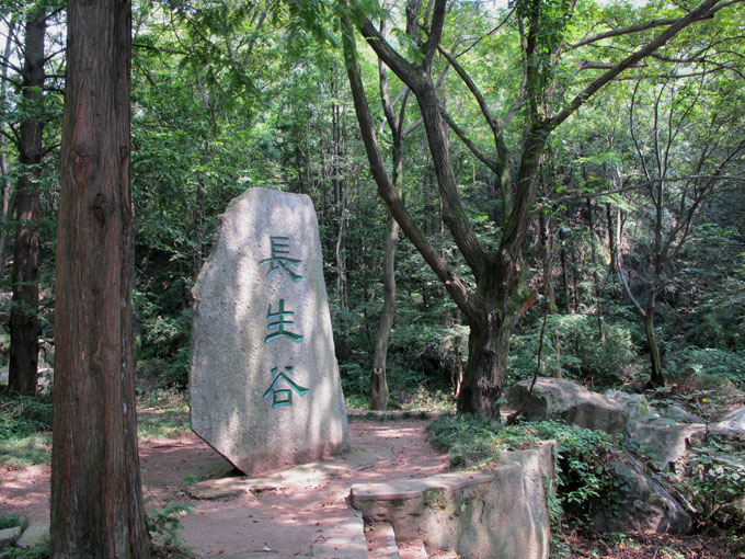 yuen 181.jpg