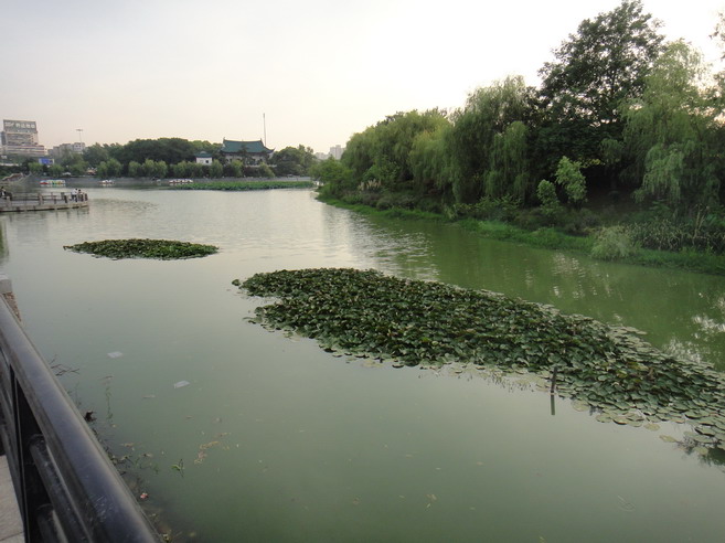 dsc00504.jpg