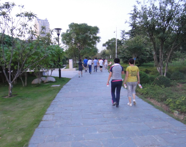 dsc00513.jpg
