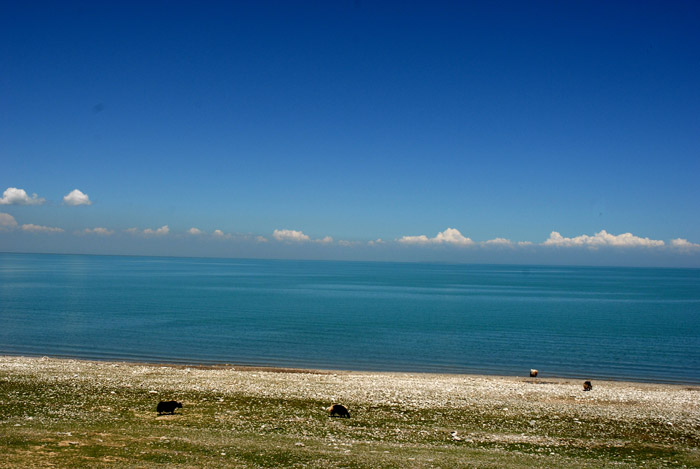 dsc_0710.jpg