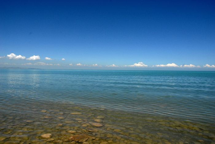 dsc_0719.jpg