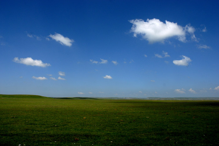 dsc_0683.jpg