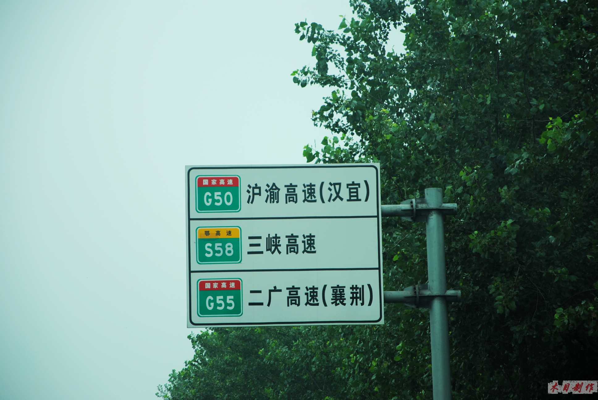 neo_img_dsc_0230.jpg