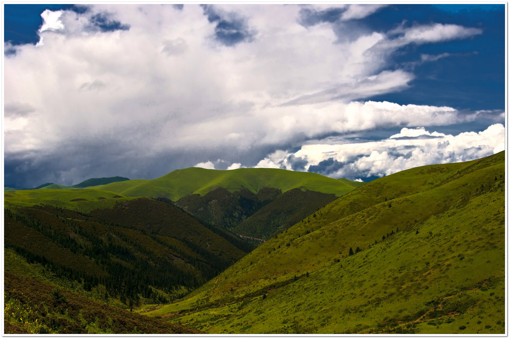 _dsc6033.jpg