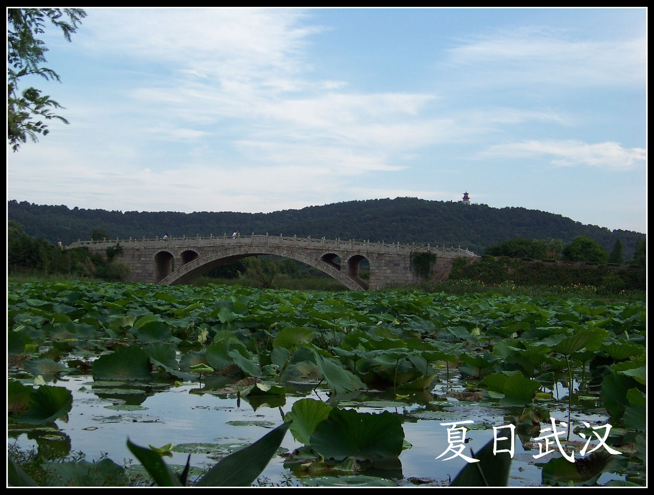 20100717kѾ-ʪع԰ ɻ (18).jpg