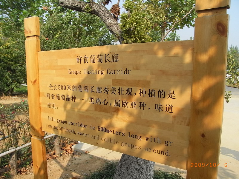 ar0016602.jpg