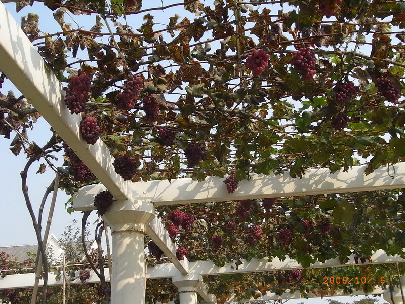 ar0016538.jpg