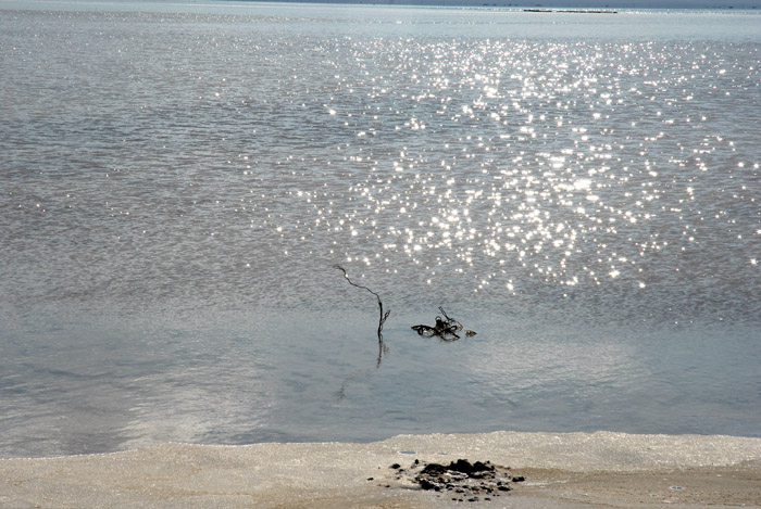 dsc_0749.jpg